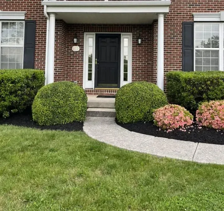 Brick house front porch with black door, trimmed bushes, and a curved walkway.