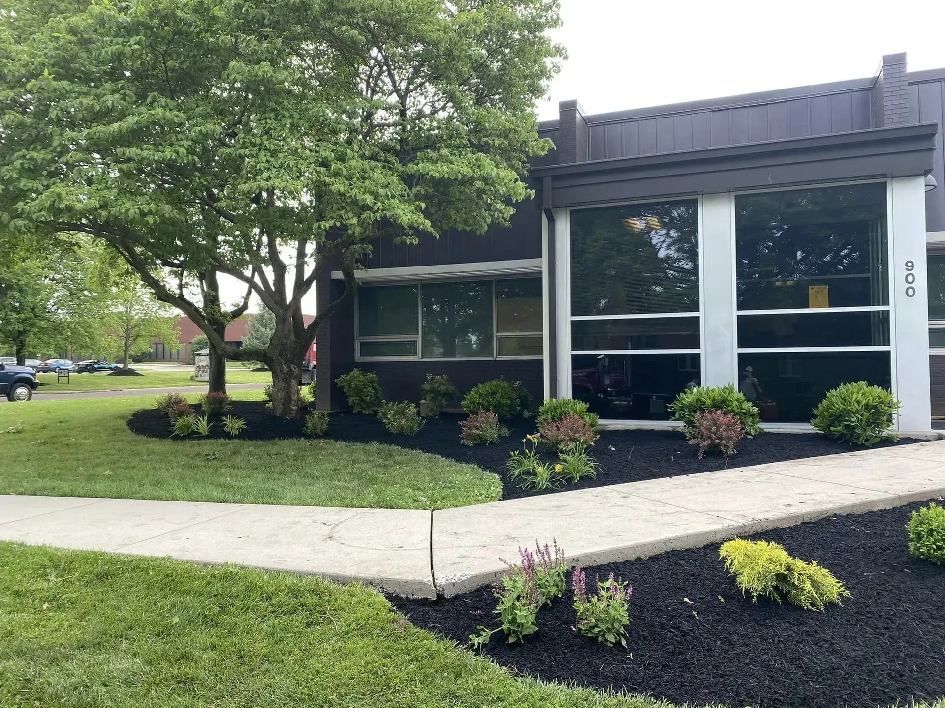 Modern office building with large windows, landscaping, and a sidewalk under a tree