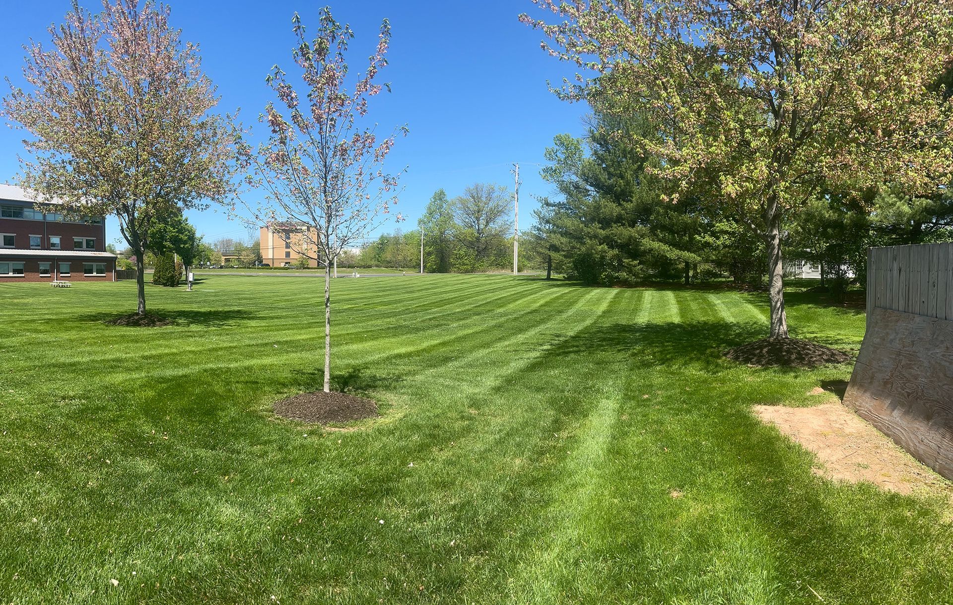 Sunny grassy park with young trees, a house in the distance, and a paved path along a wall