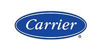 Carrier