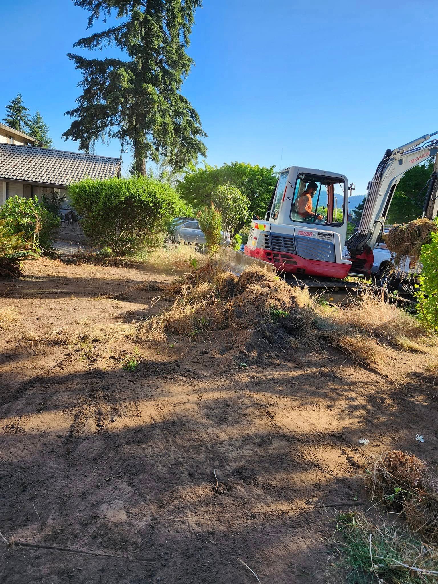 Bobcat removing brush from a residential yard under a sunny sky.