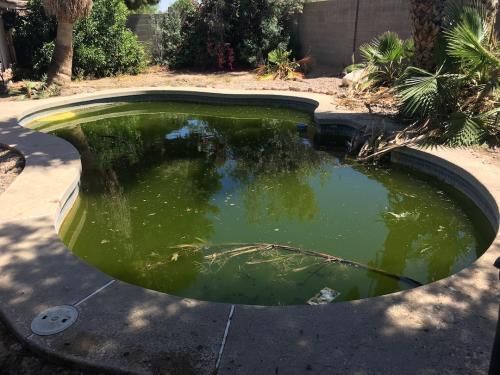 Green pool cleanup