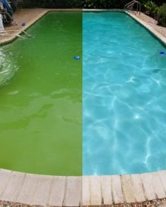 Before and after green pool service