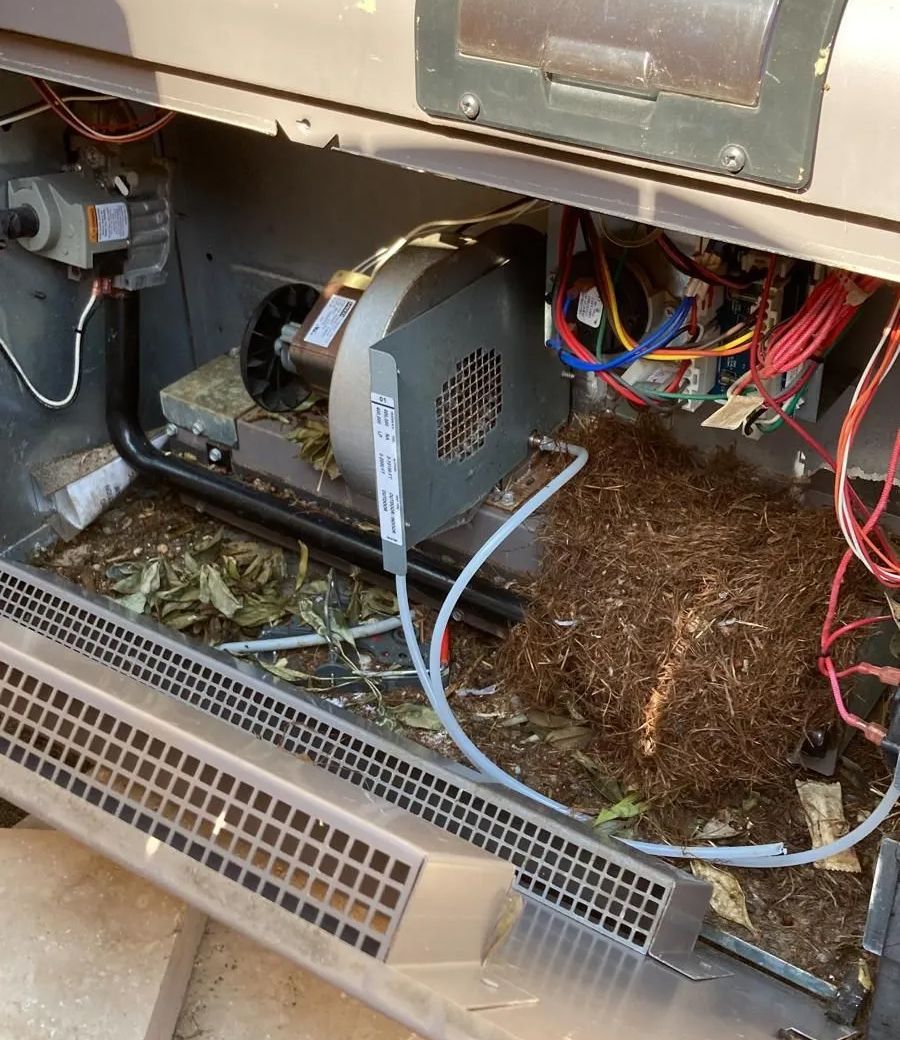 Furnace interior with debris: leaves and pine needles.