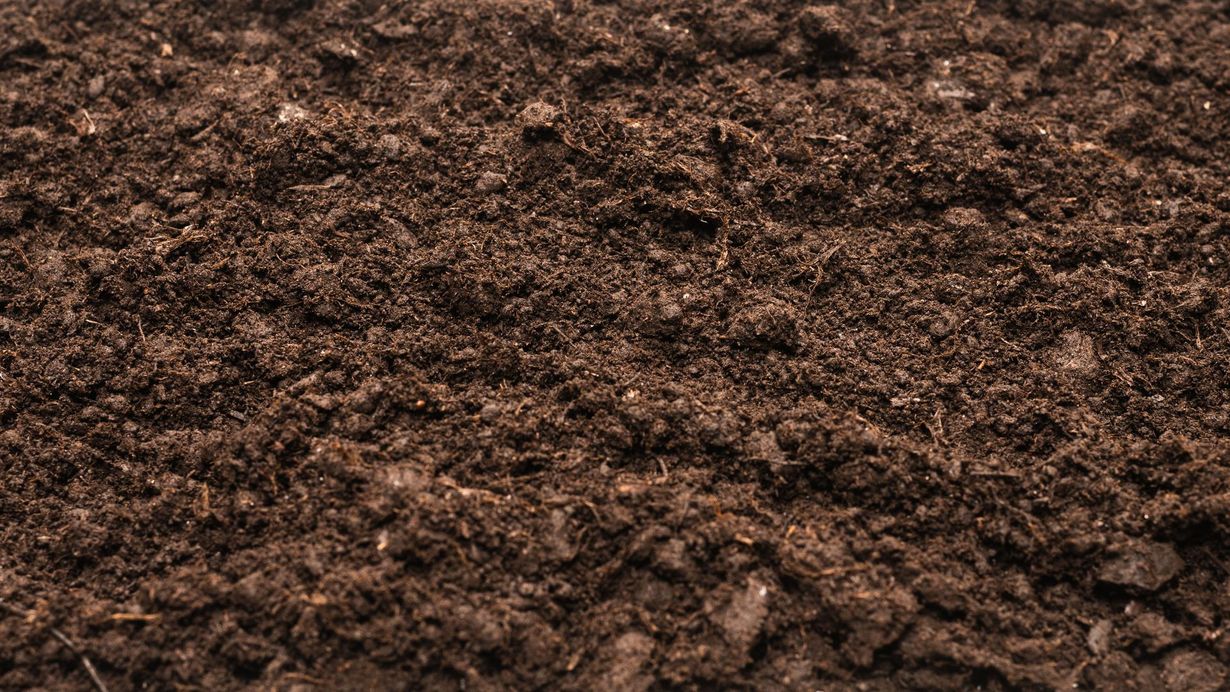 Dark brown, textured soil, possibly garden soil.