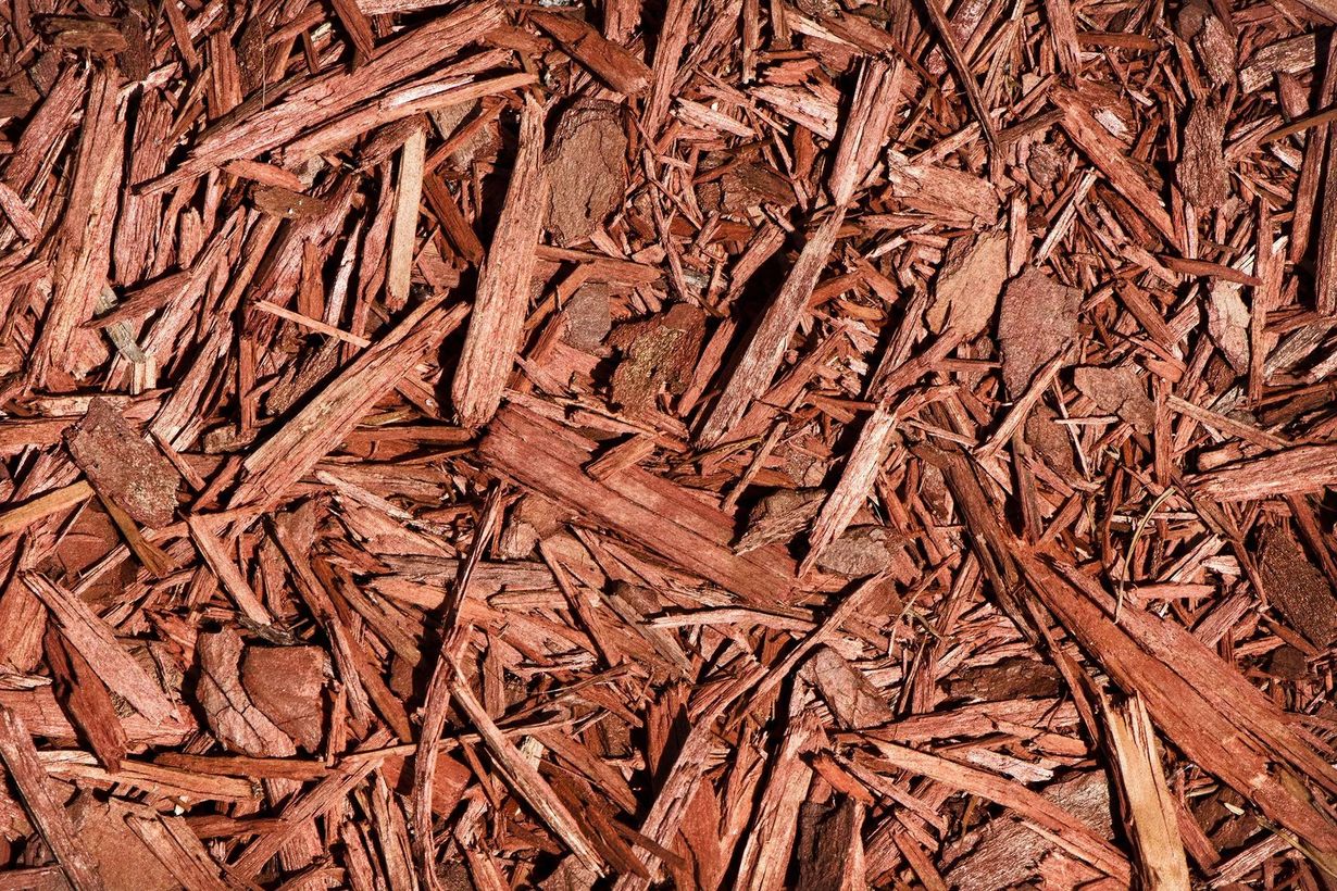 Red wood mulch, close-up view.