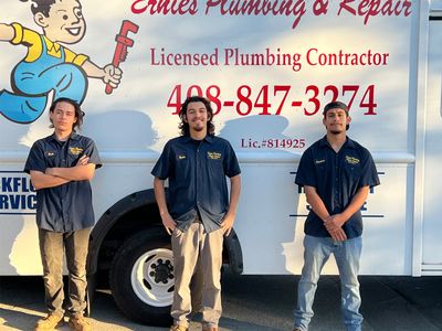 Ernie's plumbing online