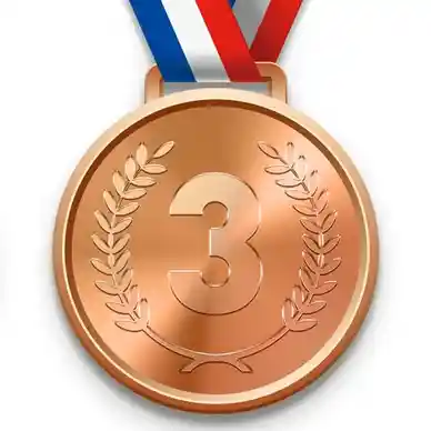 a bronze medal with the number 3 on it