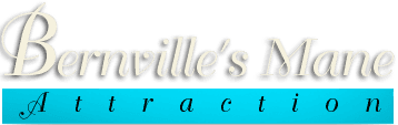 Bernville's Mane Attraction logo