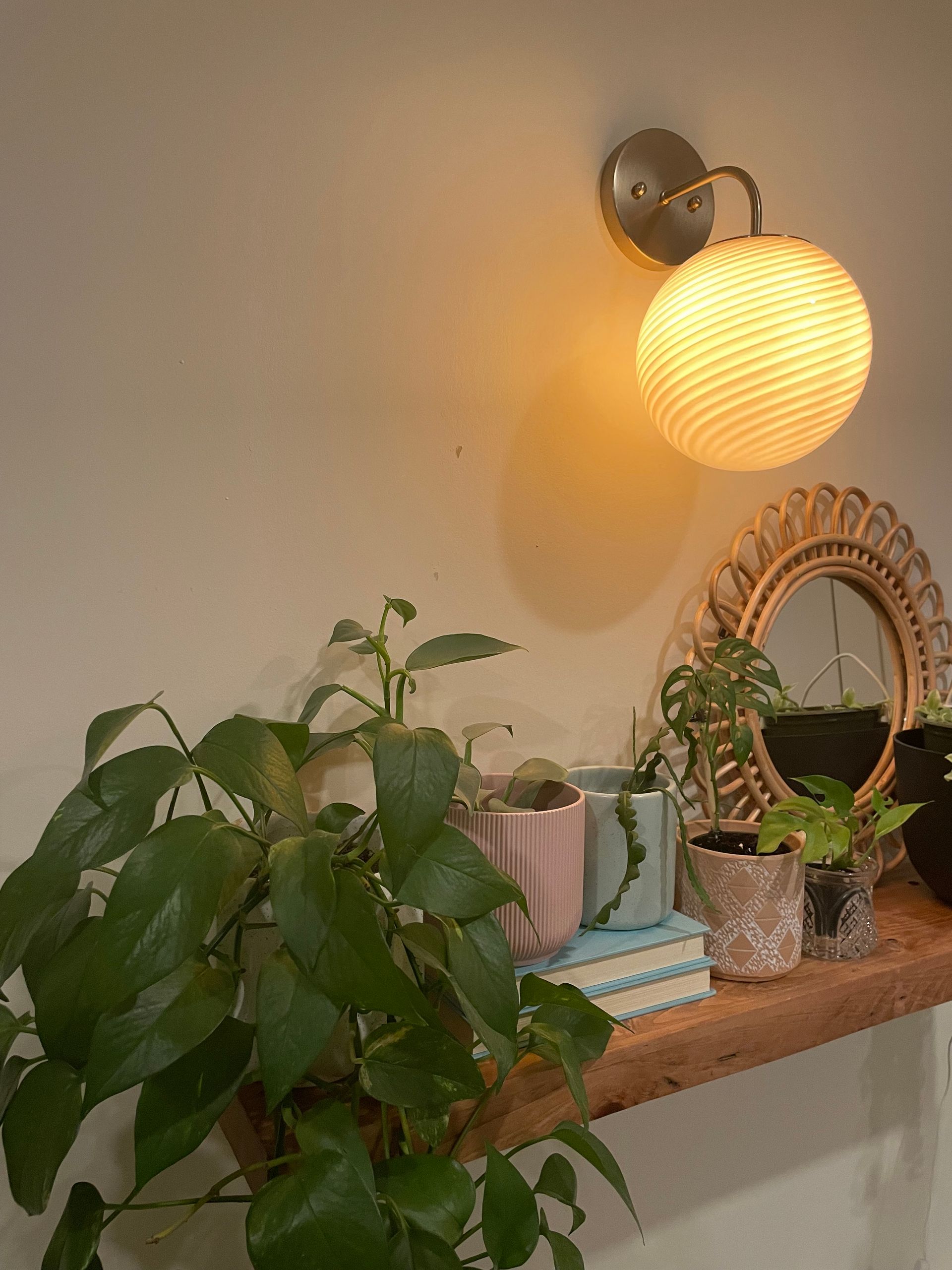 A shelf with potted plants and a lamp on it.