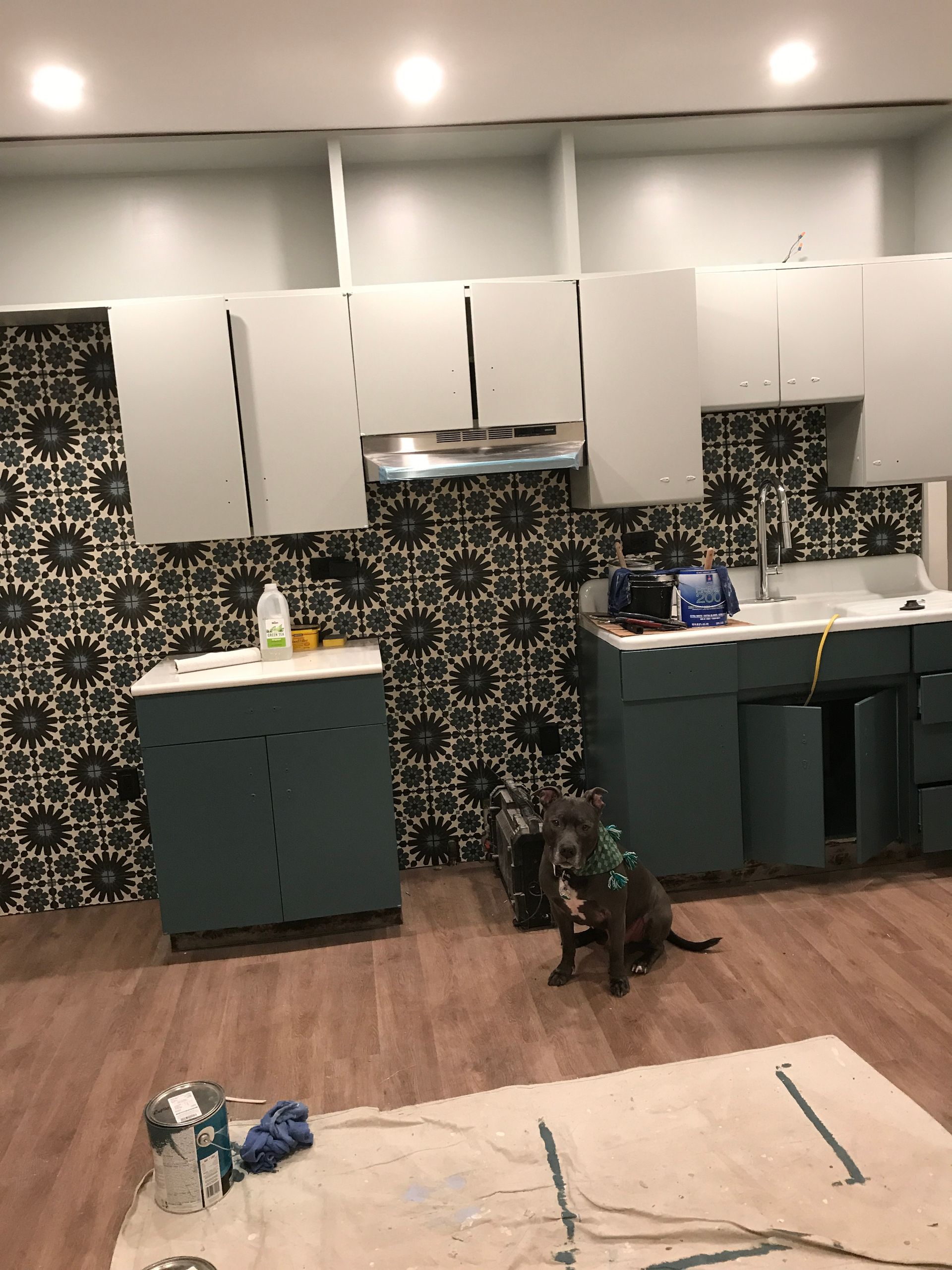 A dog is sitting on the floor in a kitchen under construction