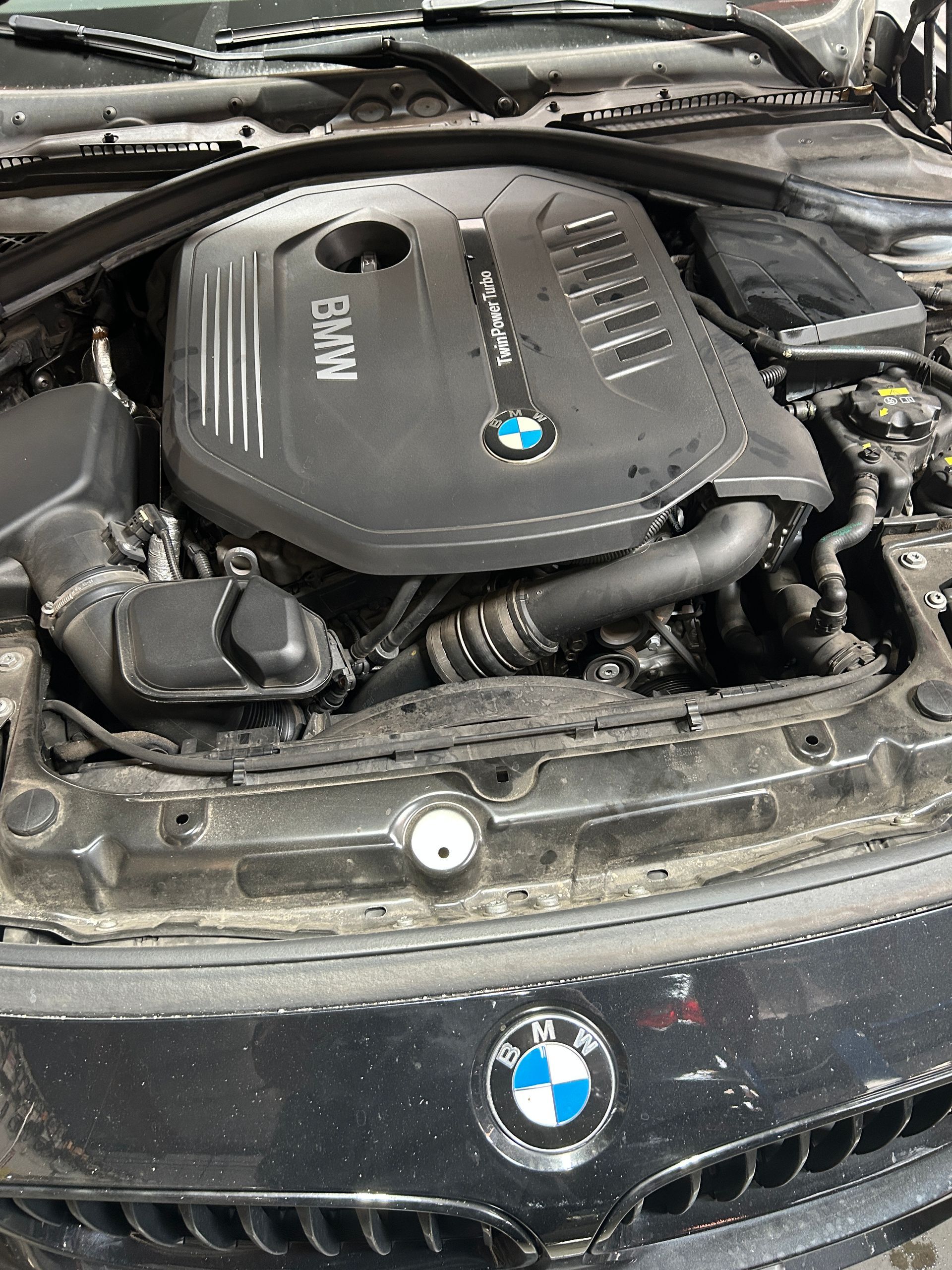 BMW engine bay with black engine cover, hood open, and front grille visible