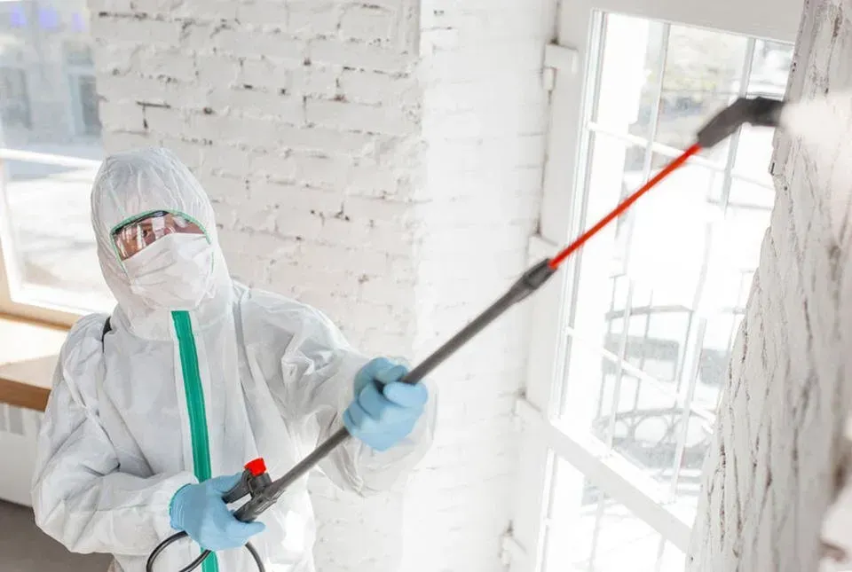 Person in protective suit spraying a wall near a window.