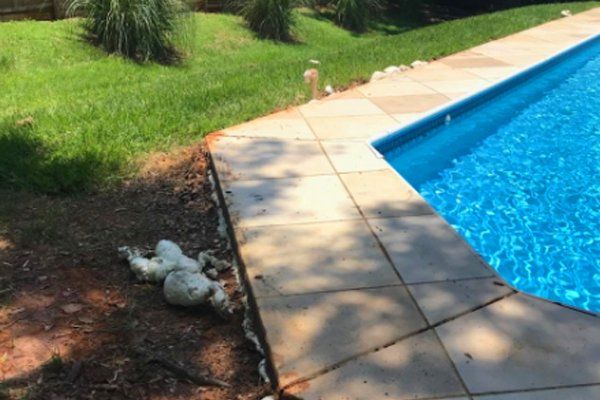 Pool deck leveling