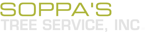 Soppa's Tree Service, Inc._Logo
