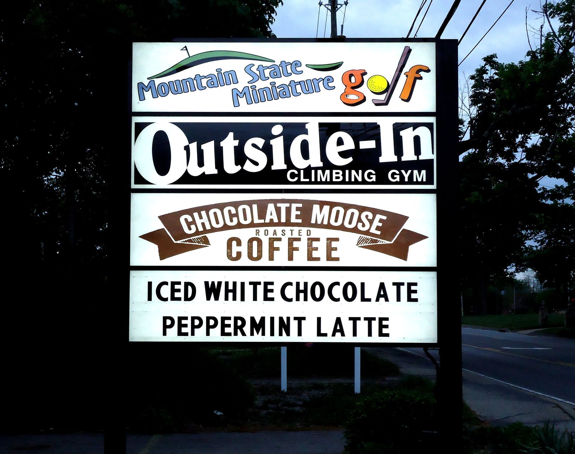 Lighted and Pole Signs