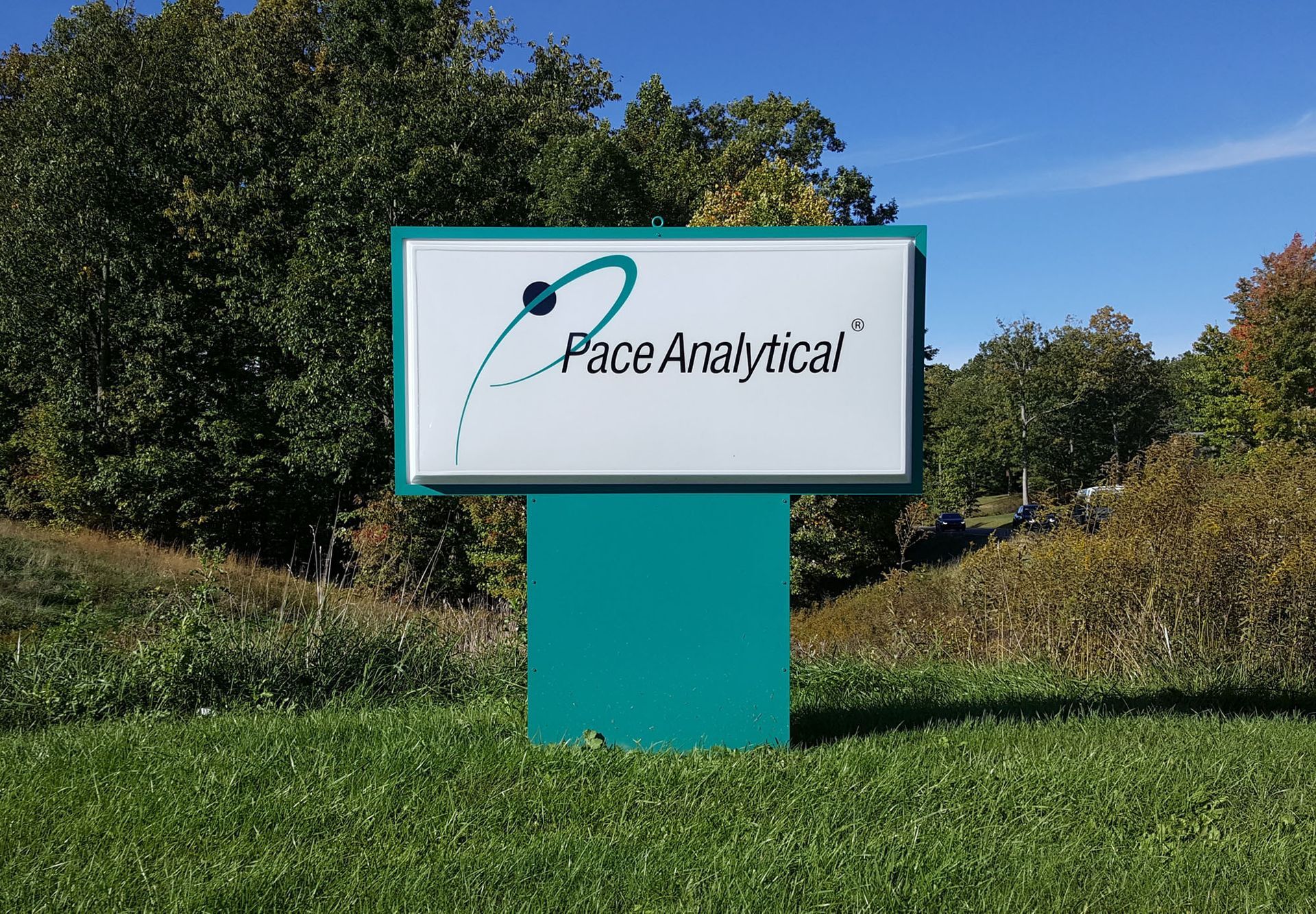 Lighted and Pole Signs