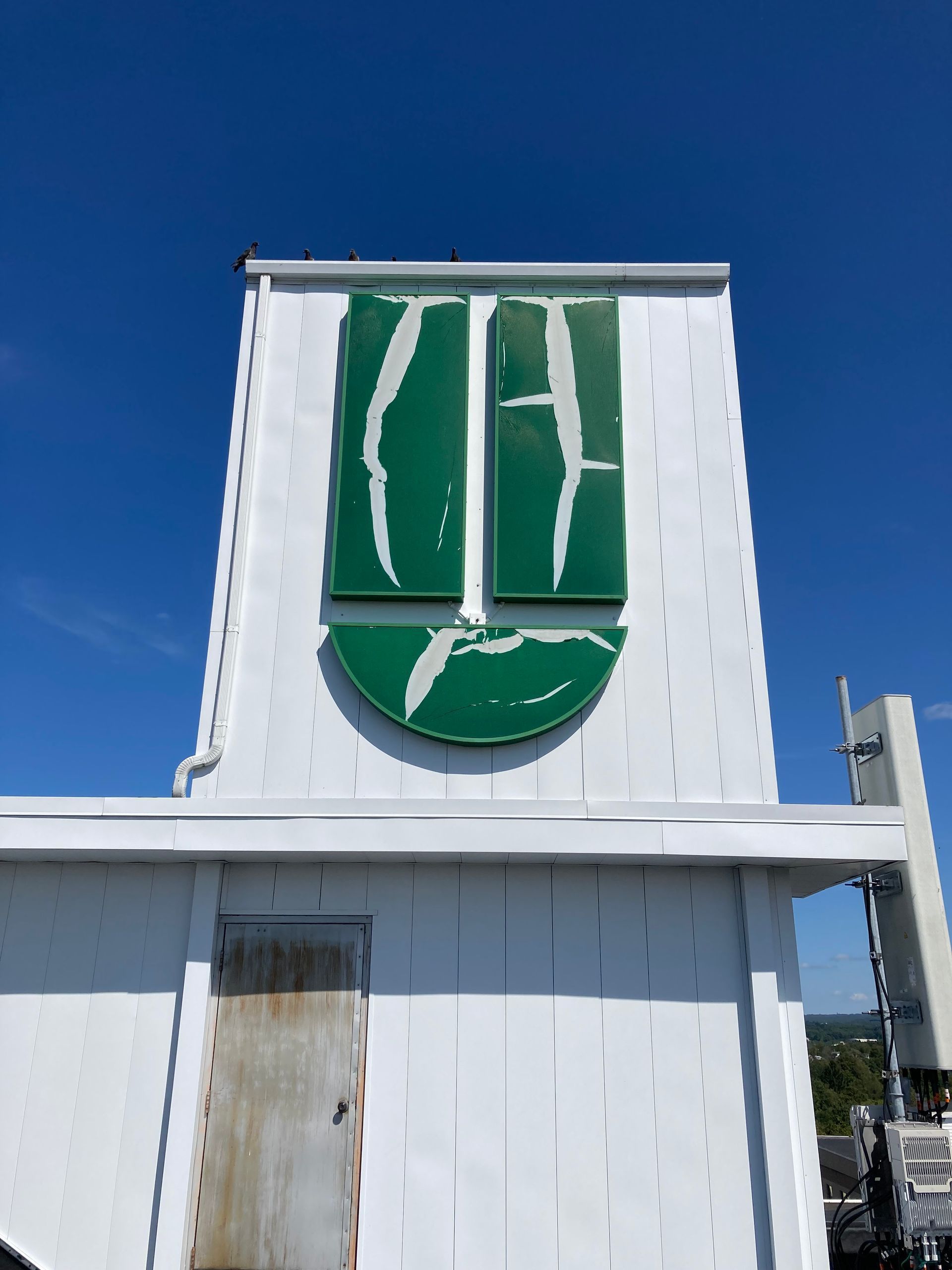 Before logo sign repair 