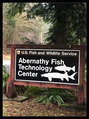 A sign for the abernathy fish technology center