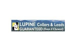 Lupine Collars & Leads
