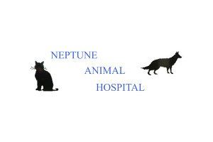 Neptune Animal Hospital