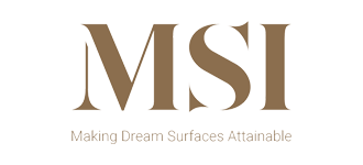MSI logo