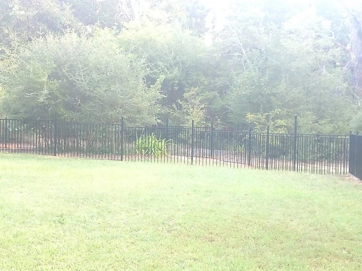 A black fence surrounds a lush green field with trees in the background.
