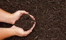 Mulch