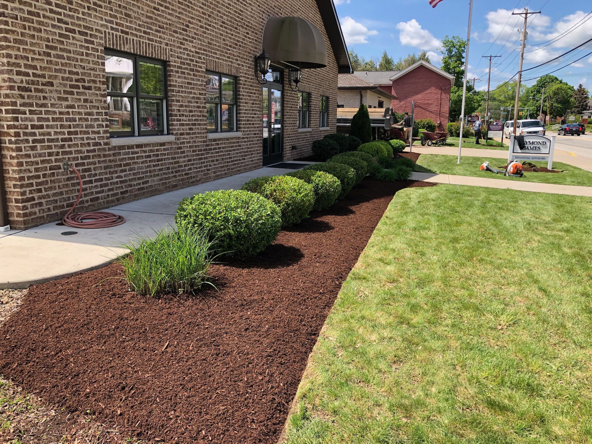 A brick building with a landscaped garden featuring a row of trimmed shrubs and dark mulch next to a green lawn.