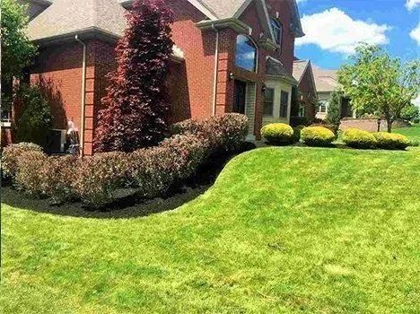 House with manicured lawn and landscaping; red brick exterior, green grass, and trimmed bushes.