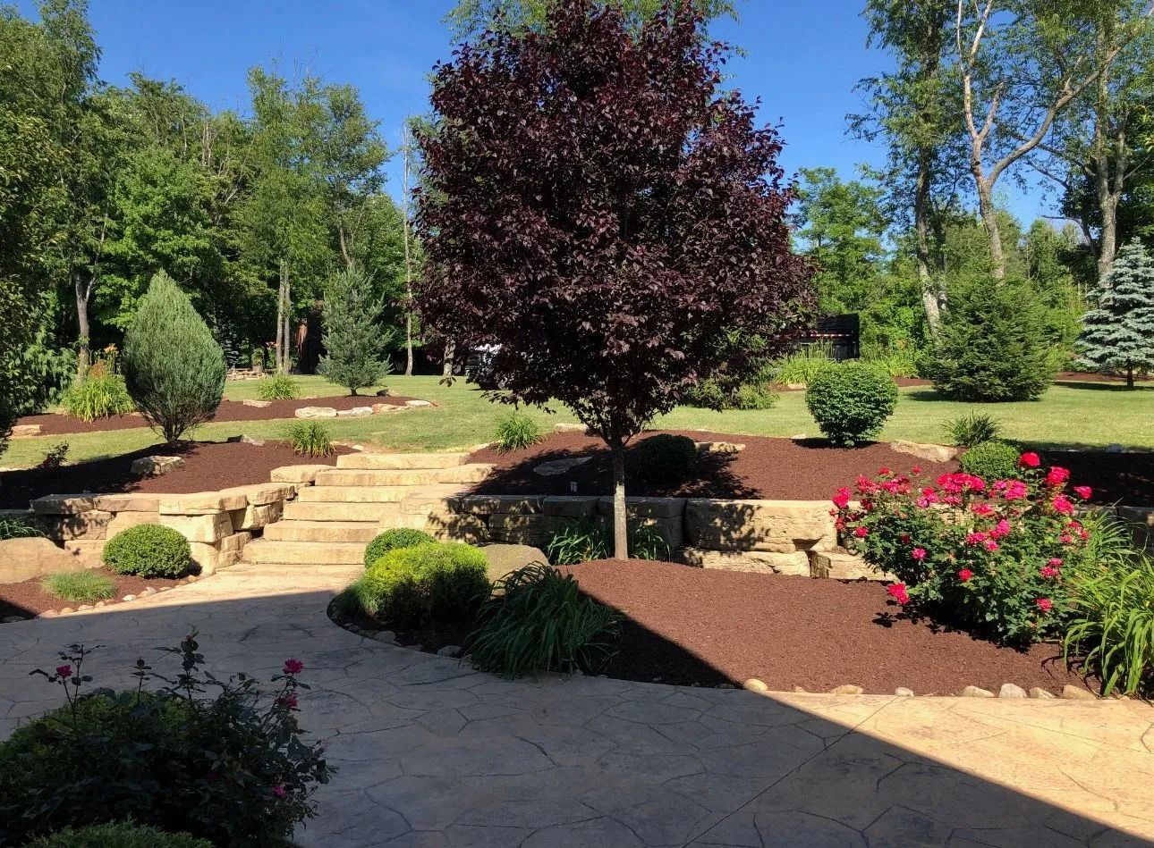 A landscaped garden with a brick staircase, various trees, and shrubs, with dark mulch and a sunny sky.