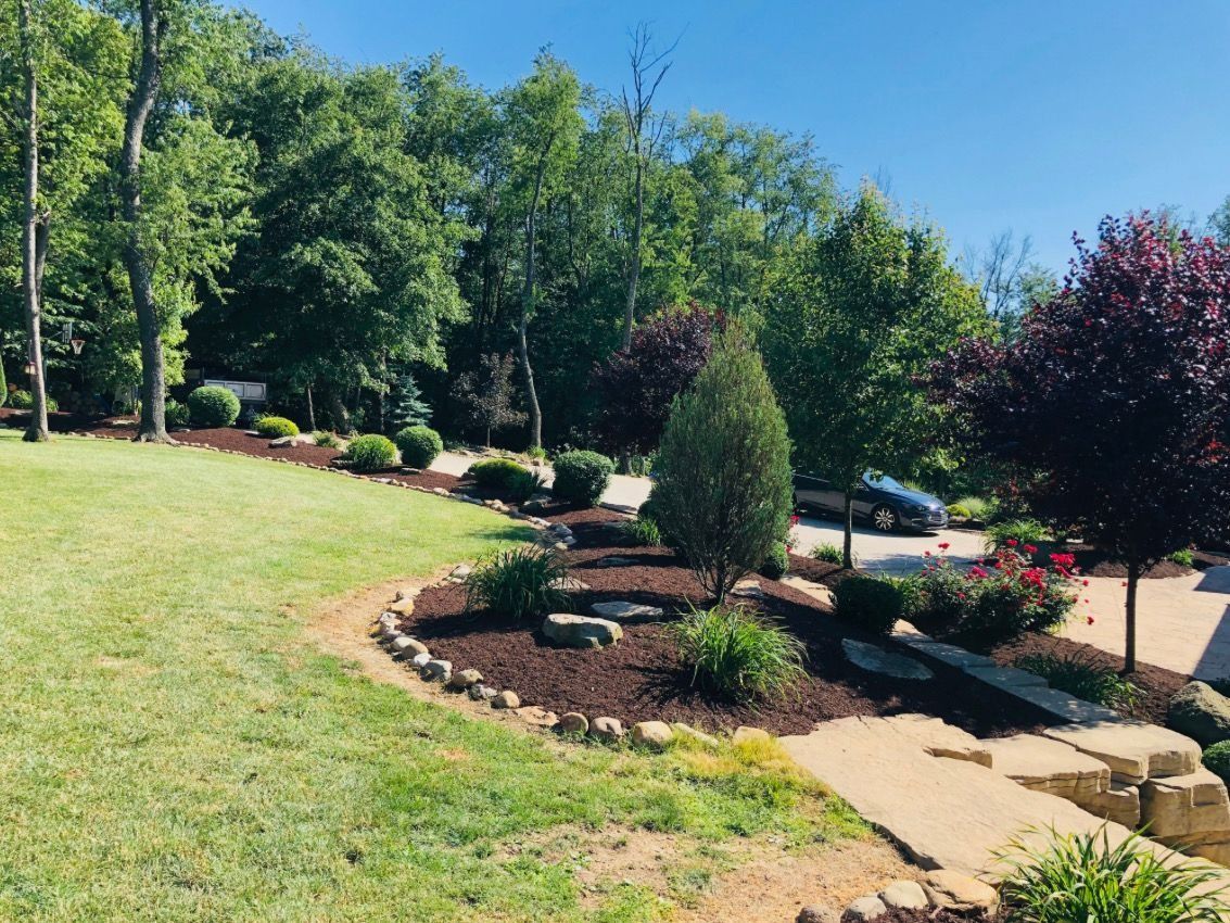 Lush green lawn with a curved mulch bed featuring various bushes and trees under a clear blue sky.