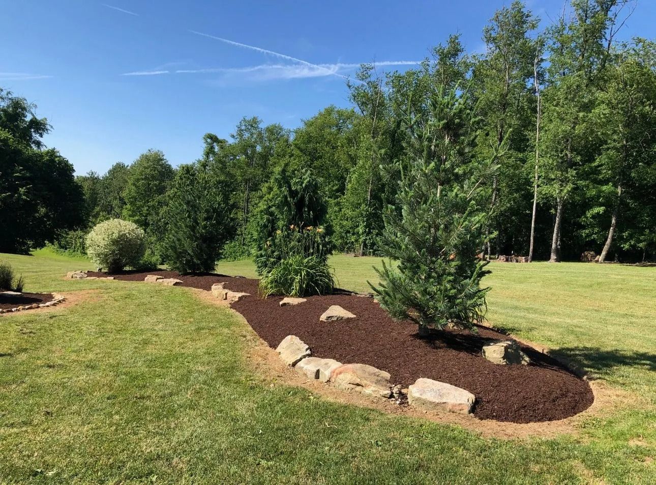 Landscaped garden bed with mulch, shrubs, and stones on a grassy lawn under a blue sky.