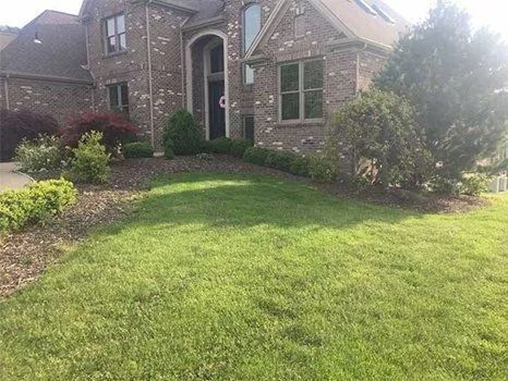 Brick house with green lawn, landscaping, and a sunny sky.