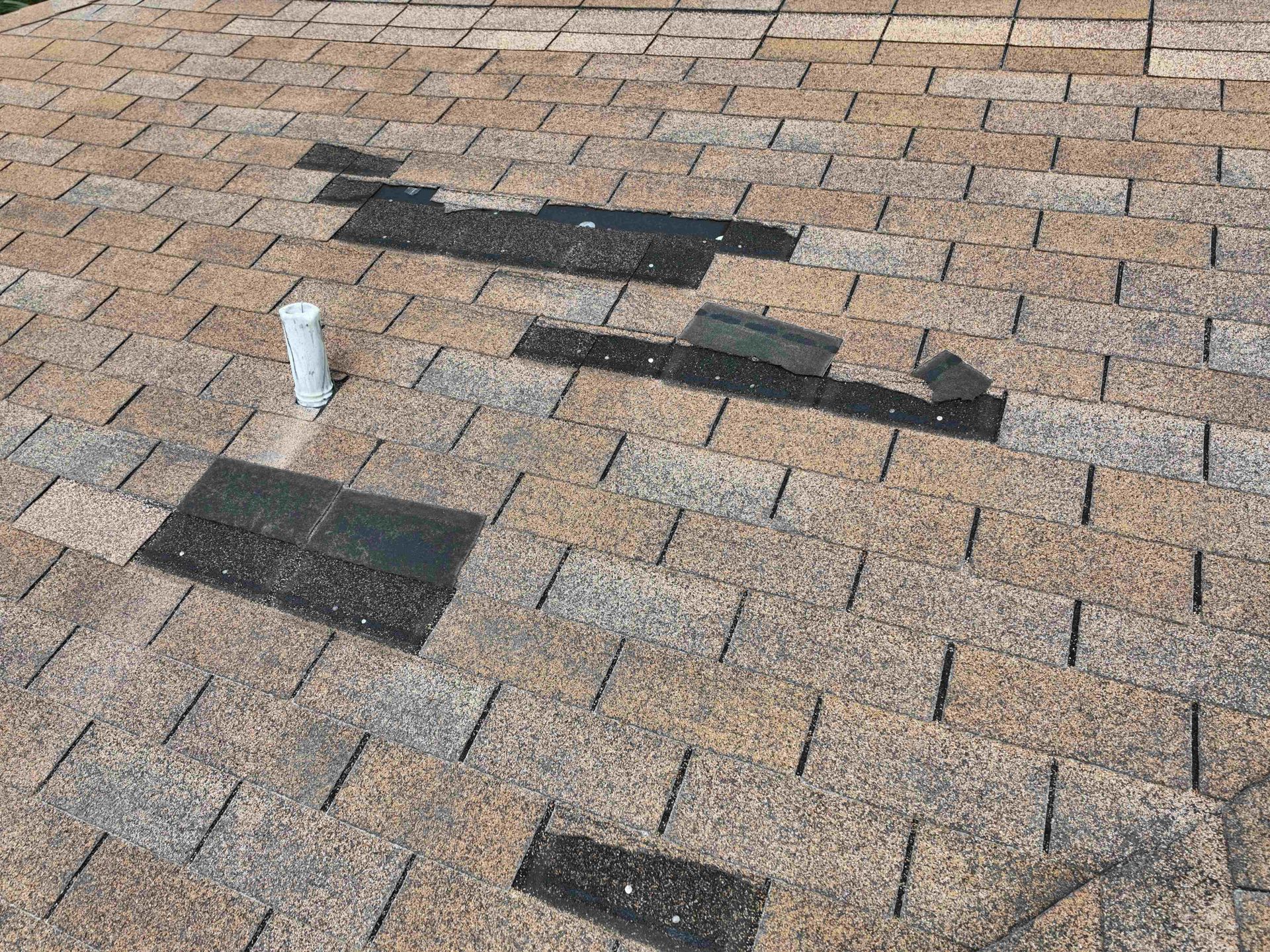 Missing asphalt shingles exposing dark underlayment and nails on a storm-damaged Florida roof