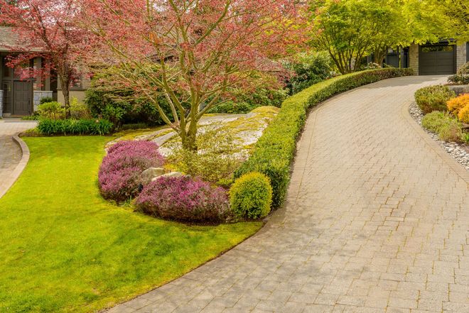 Driveway lined with green hedges and colorful flowering plants, leading to a home.