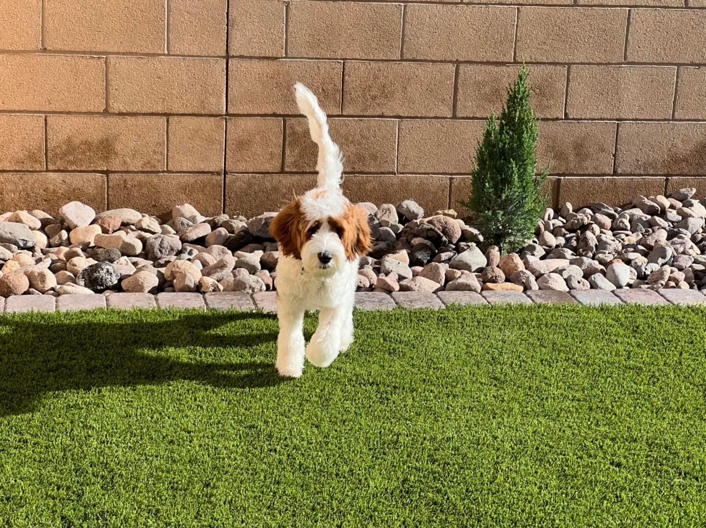 Residential landscape