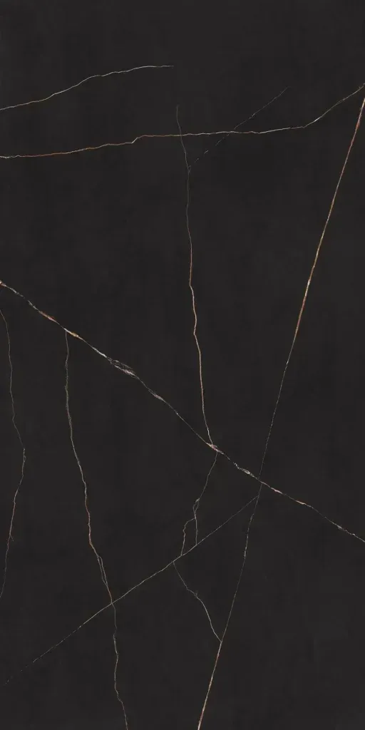 Dark cracked surface with thin, pale lines across it.