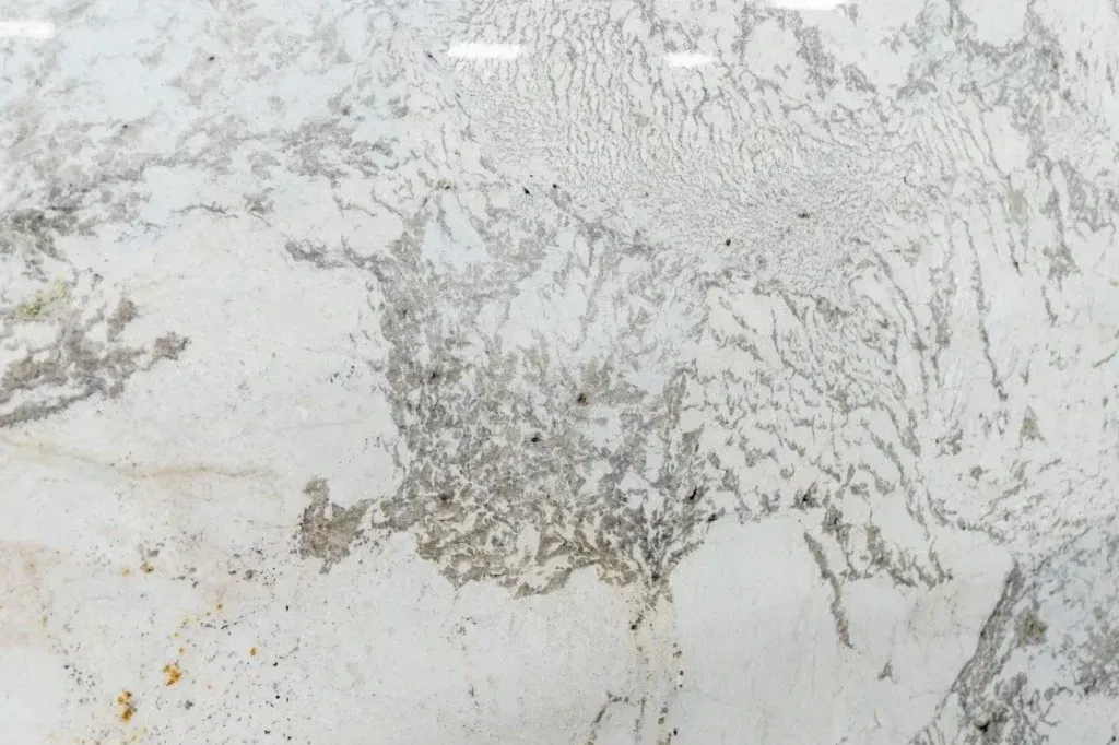 Close-up of a white and gray textured wall with mottled stains and cracks
