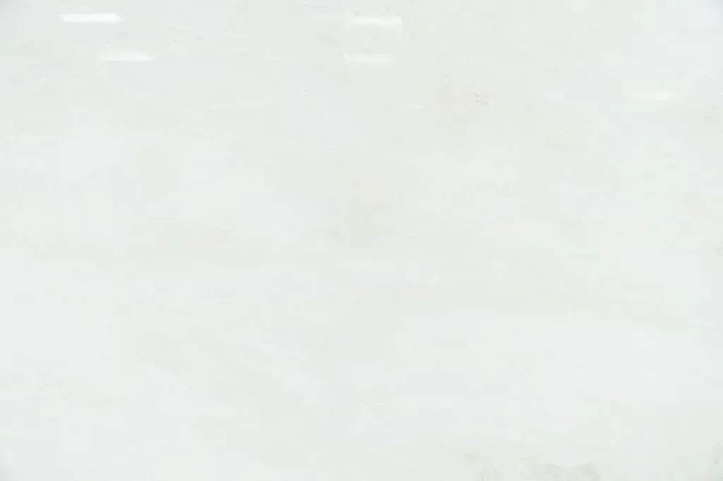 Mostly blank white surface with faint light gray marks.