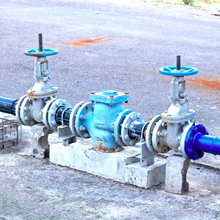 Backflow services