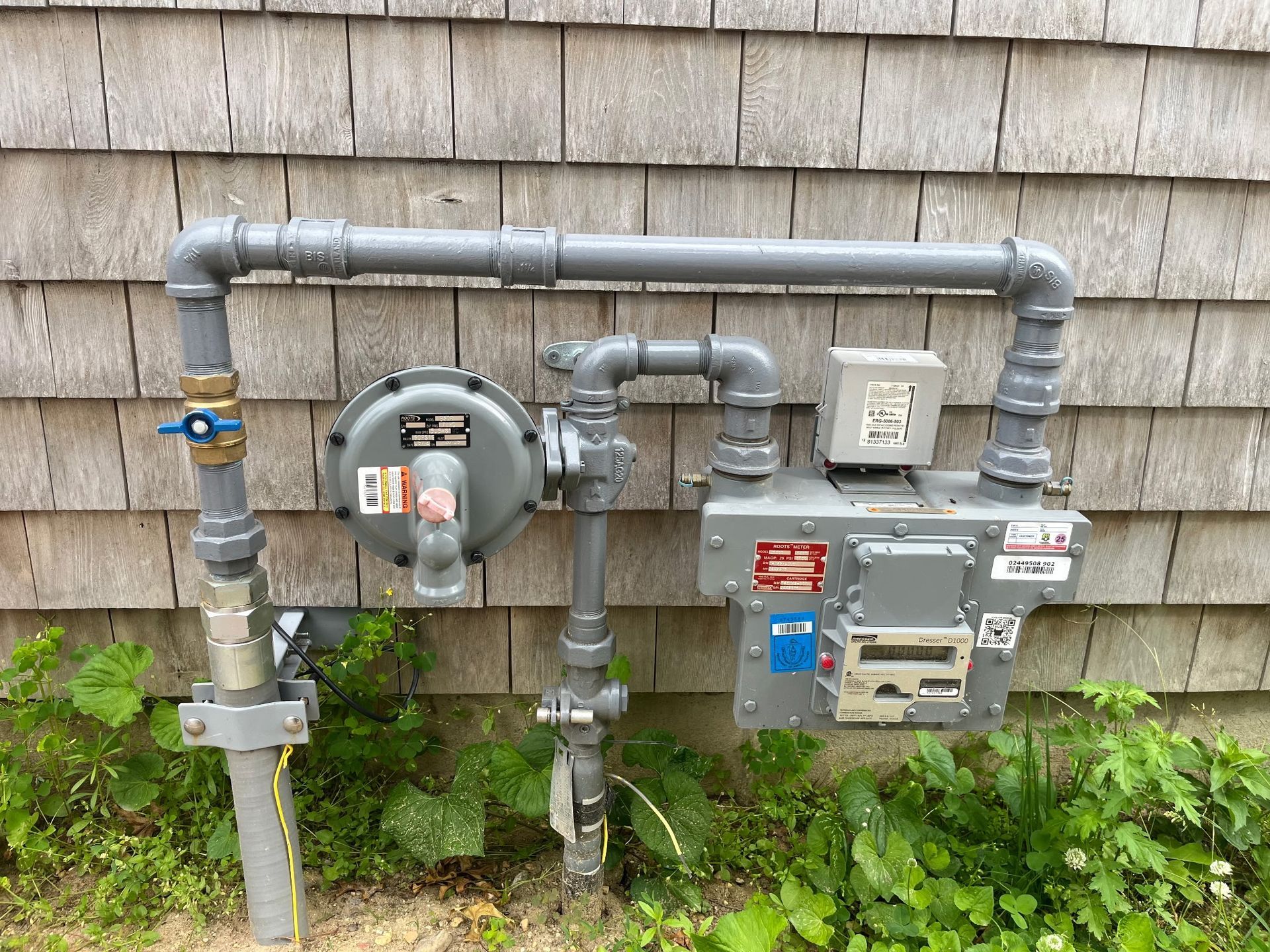 Gas meter and utility pipes mounted on a building exterior above green plants.