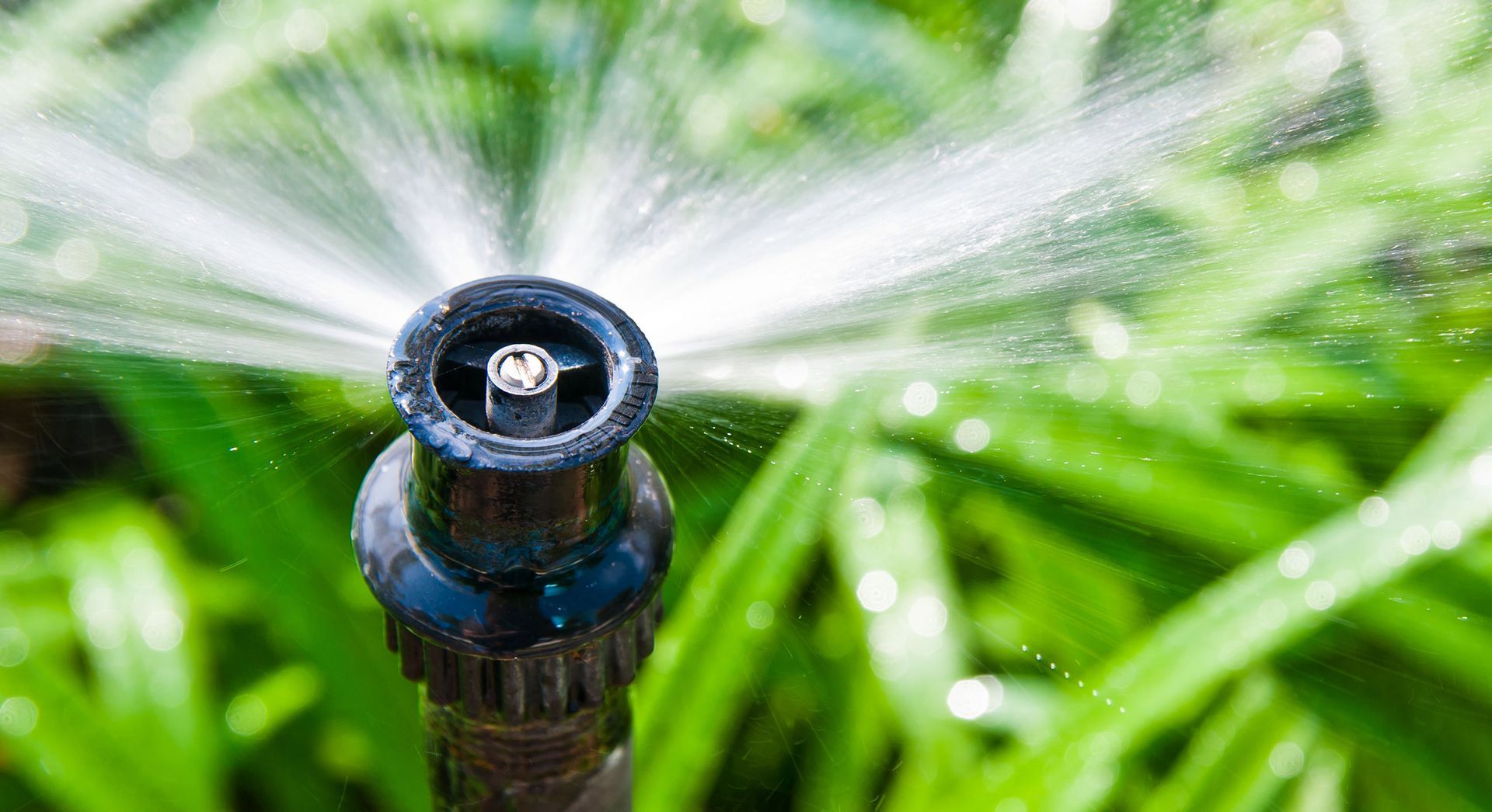 Lawn sprinkler