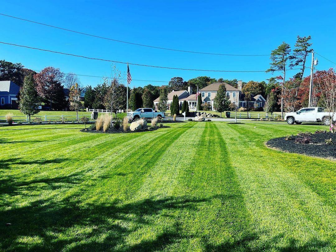 Lawn