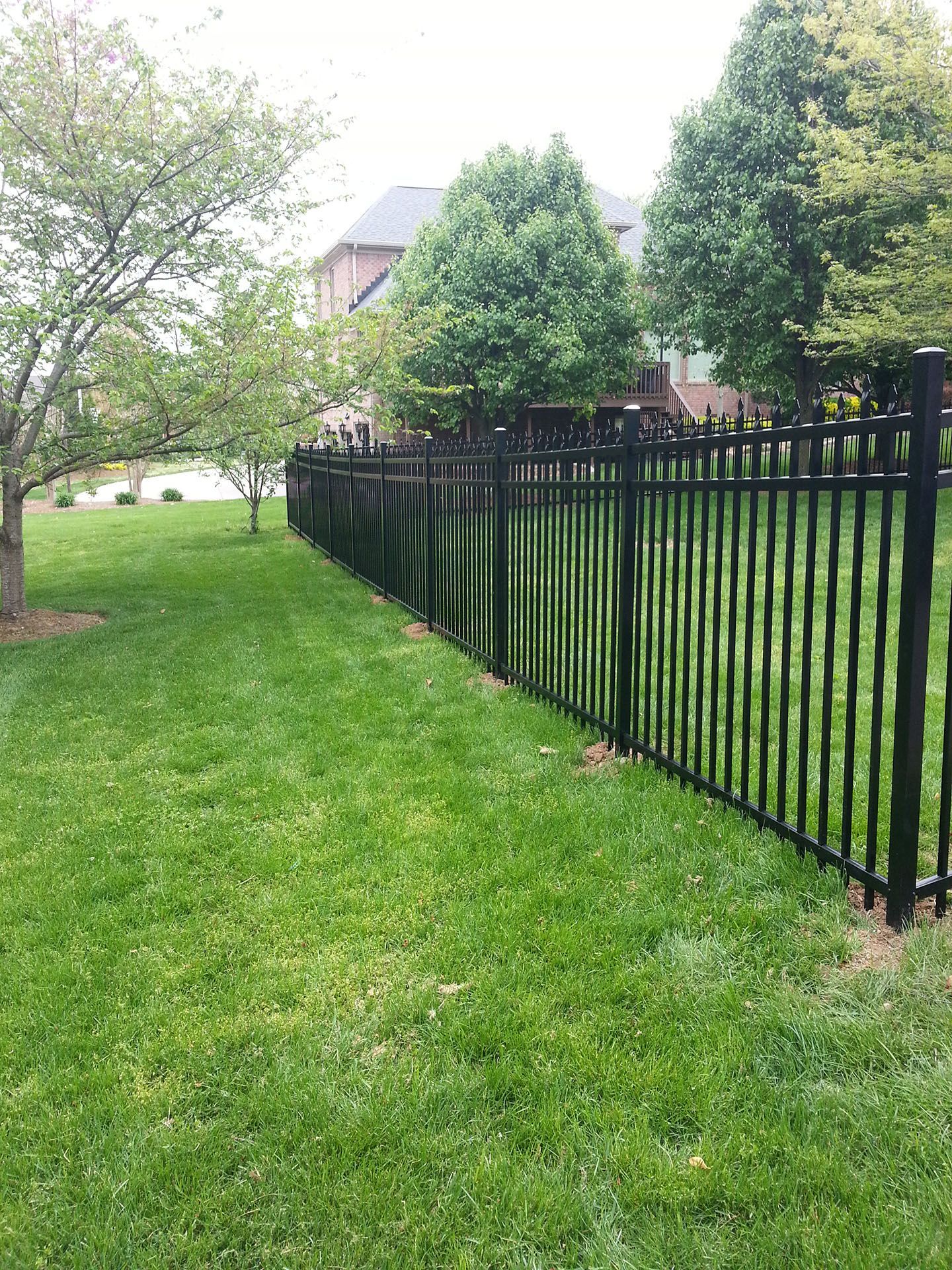 Fence services