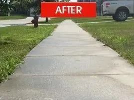 A sidewalk is clean and gray with green grass on both sides; a red sign reads 
