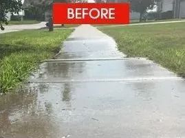 Wet concrete sidewalk, grass on either side, red 