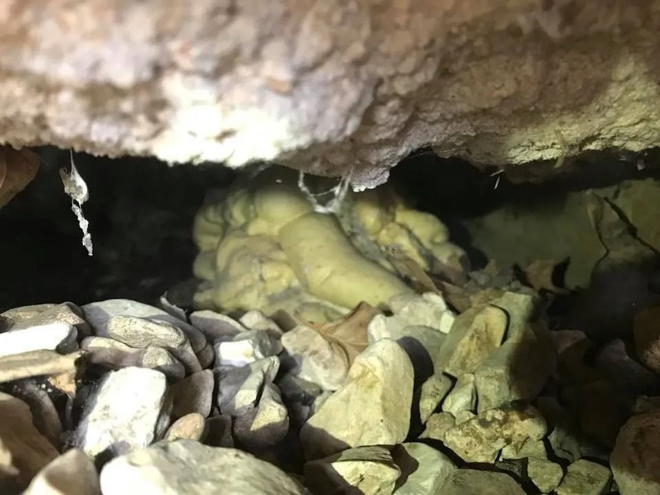 Rocks and debris beneath a cave ceiling with yellowish formations; shadows obscure the details.