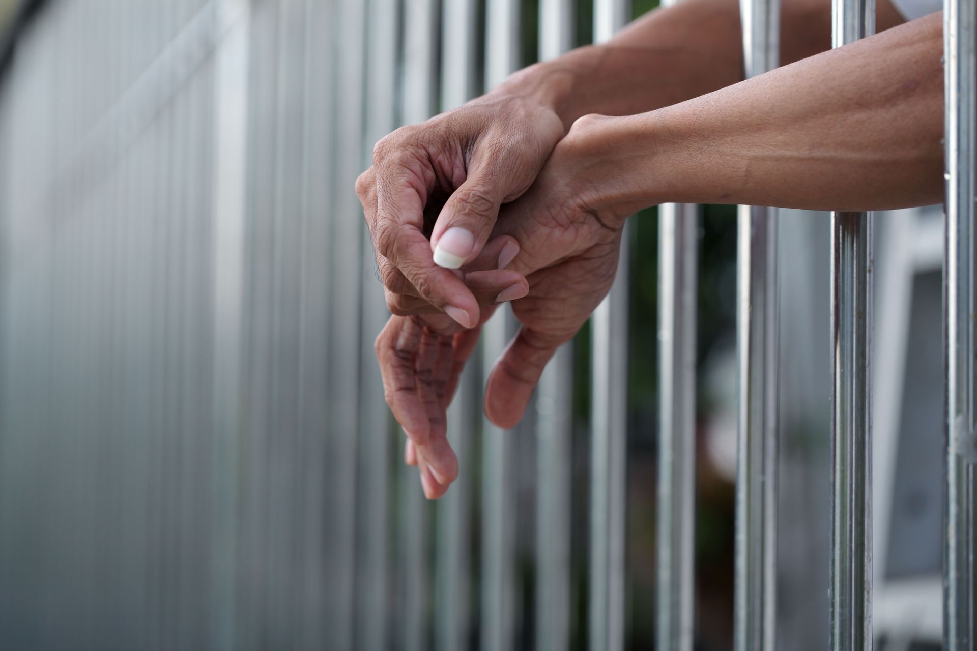 bail bonds