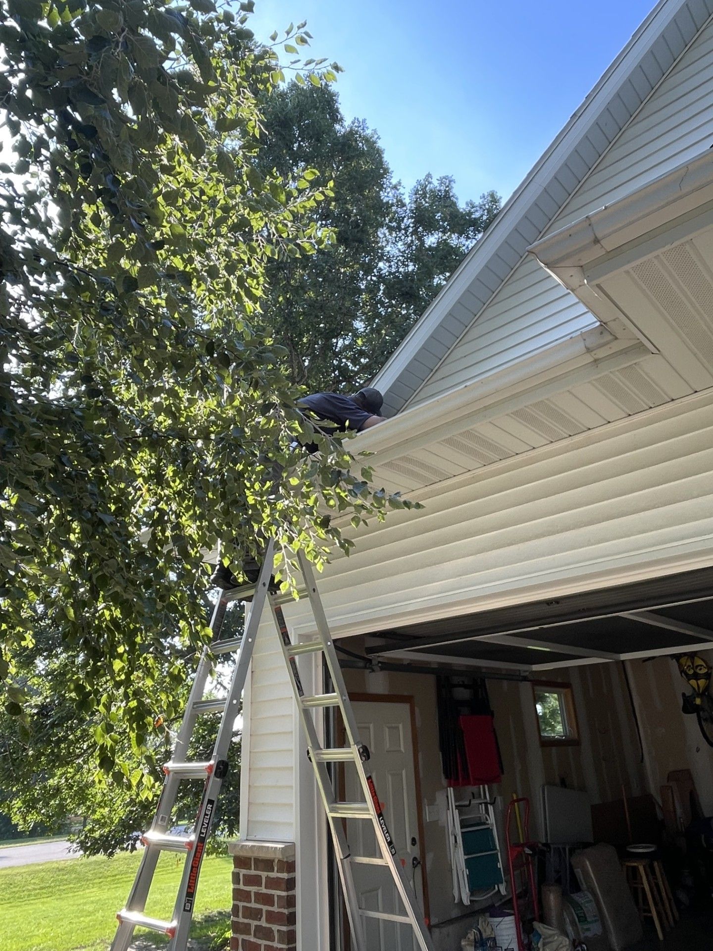 Person on a ladder, trimming tree branches near a house's roof and garage.
